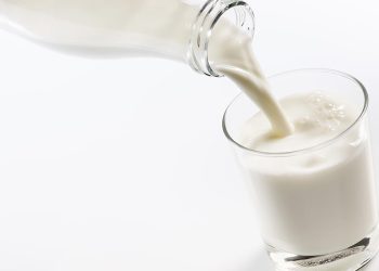 how-organic-is-your-organic-milk?