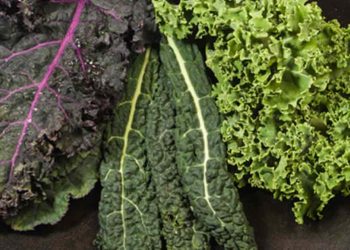 forever-chemicals-found-in-88%-of-kale-tested