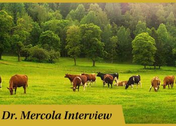 sustainable-meat-production-goes-hand-in-hand-with-renewable-land-management