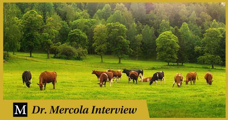 sustainable-meat-production-goes-hand-in-hand-with-renewable-land-management