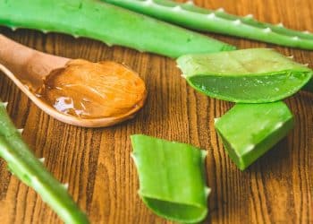 fda-greenlights-aloe-vera-study-for-interstitial-cystitis