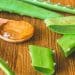 fda-greenlights-aloe-vera-study-for-interstitial-cystitis