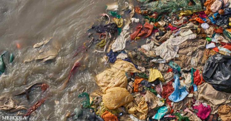 how-clothes-are-polluting-the-food-supply