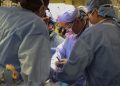 a-man-has-received-the-first-pig-kidney-transplant