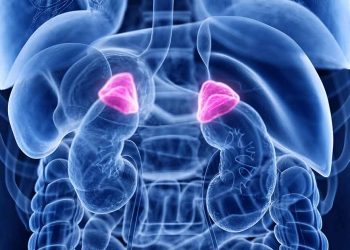 adrenal-fatigue:-what-it-is-and-how-to-treat-it