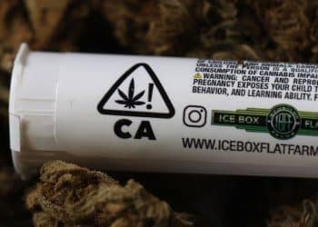 the-health-hazards-of-legalizing-marijuana