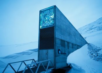 men-behind-the-arctic-doomsday-seed-vault-win-world-food-prize