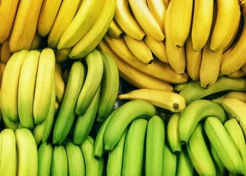 all-you-ever-wanted-to-know-about-bananas