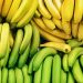 all-you-ever-wanted-to-know-about-bananas
