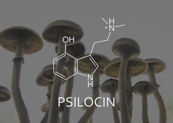 the-benefits-of-psilocybin-on-mental-health