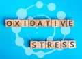 oxidative-stress:-what-it-is-and-how-to-keep-it-in-check