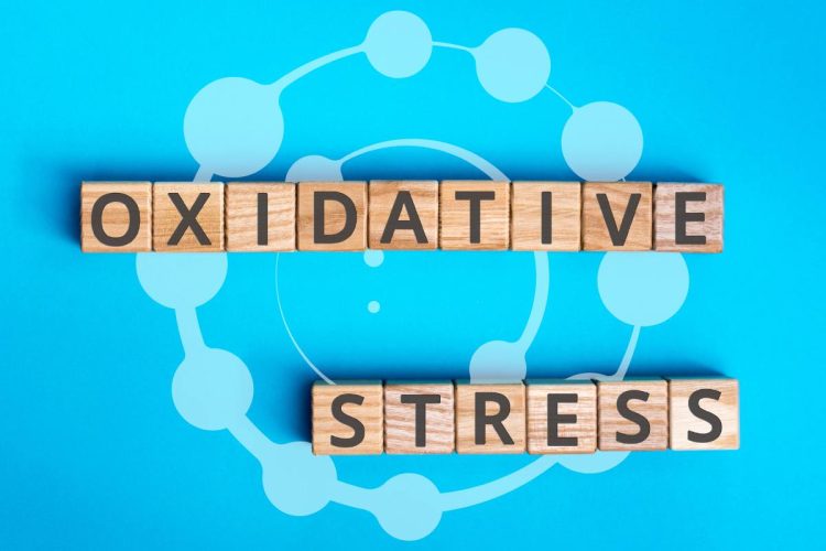 oxidative-stress:-what-it-is-and-how-to-keep-it-in-check