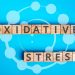 oxidative-stress:-what-it-is-and-how-to-keep-it-in-check