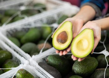 eating-just-one-avocado-a-day