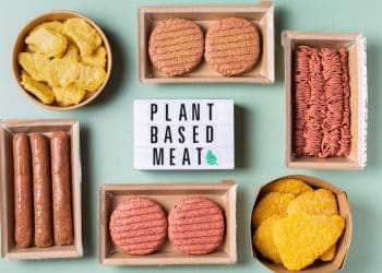Is Plant-Based Meat A Sustainable and Nutritional Alternative or a Processed Food Pitfall? Expert Weighs In
