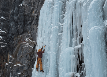 The importance of community mental health support for transition-aged youth