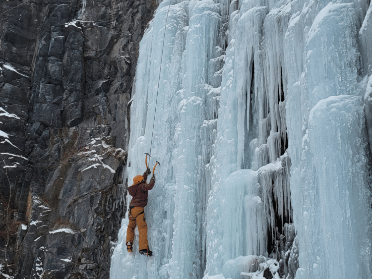 The importance of community mental health support for transition-aged youth