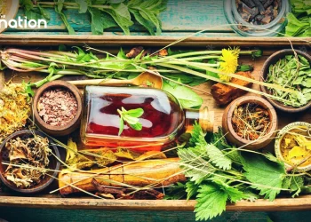 Thai herbal medicine promoted as alternative to Western treatments