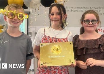 Cottingham Primary School strikes gold with mental health prize