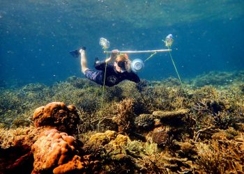 scientists face mental health battle