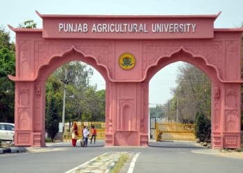 IVORY TOWER: Gender & locale influence students’ emotional expression, mental health, reveals study