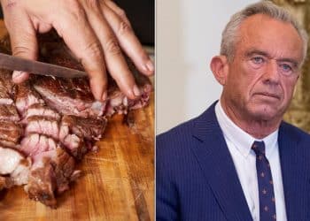 RFK Jr. Spouts Unproven Idea That Keto Diet Can ‘Cure’ Schizophrenia