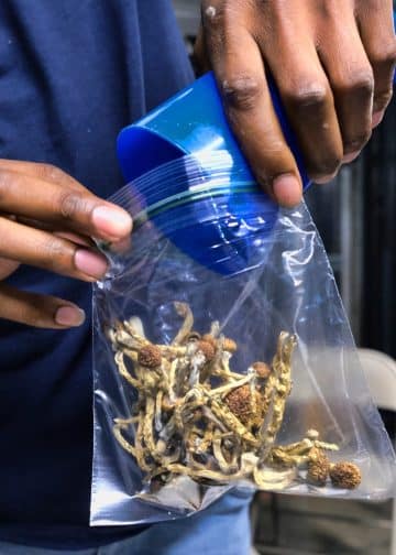 Wisconsin lab tapped to research psychedelic drug as mental health treatment
